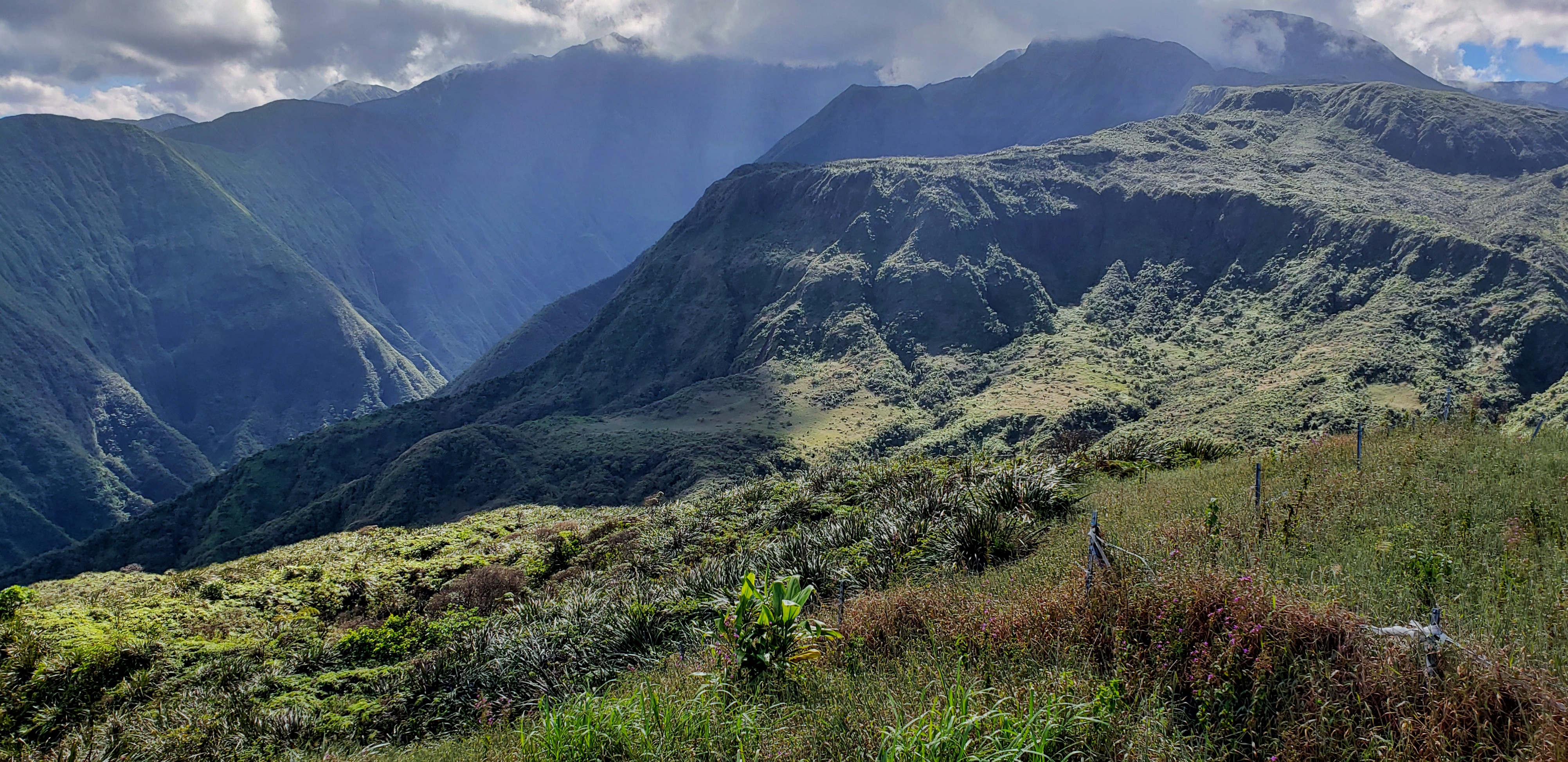 Product Private North Shore Hiking Experience