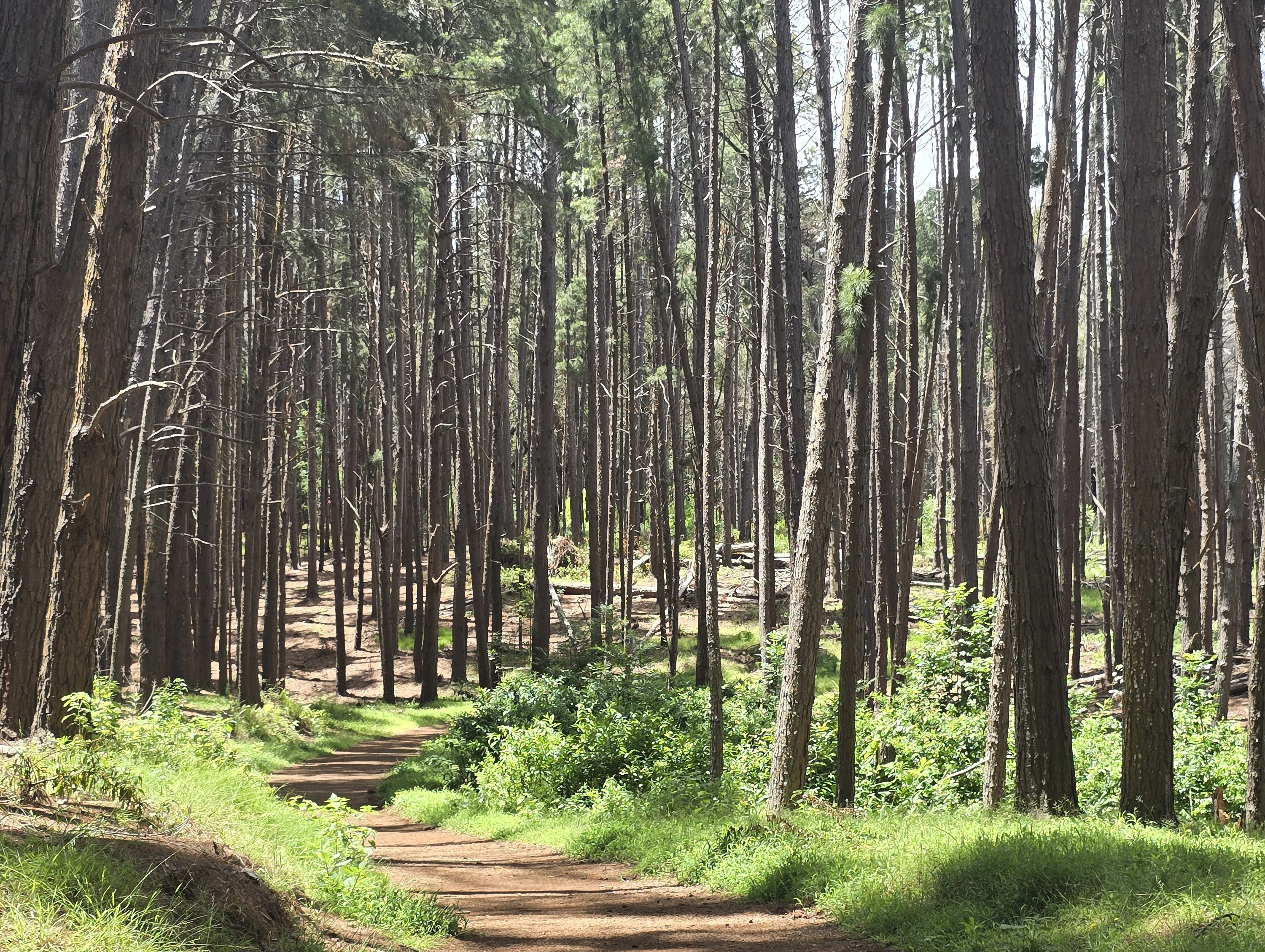 Product Private Upcountry Hiking Experience