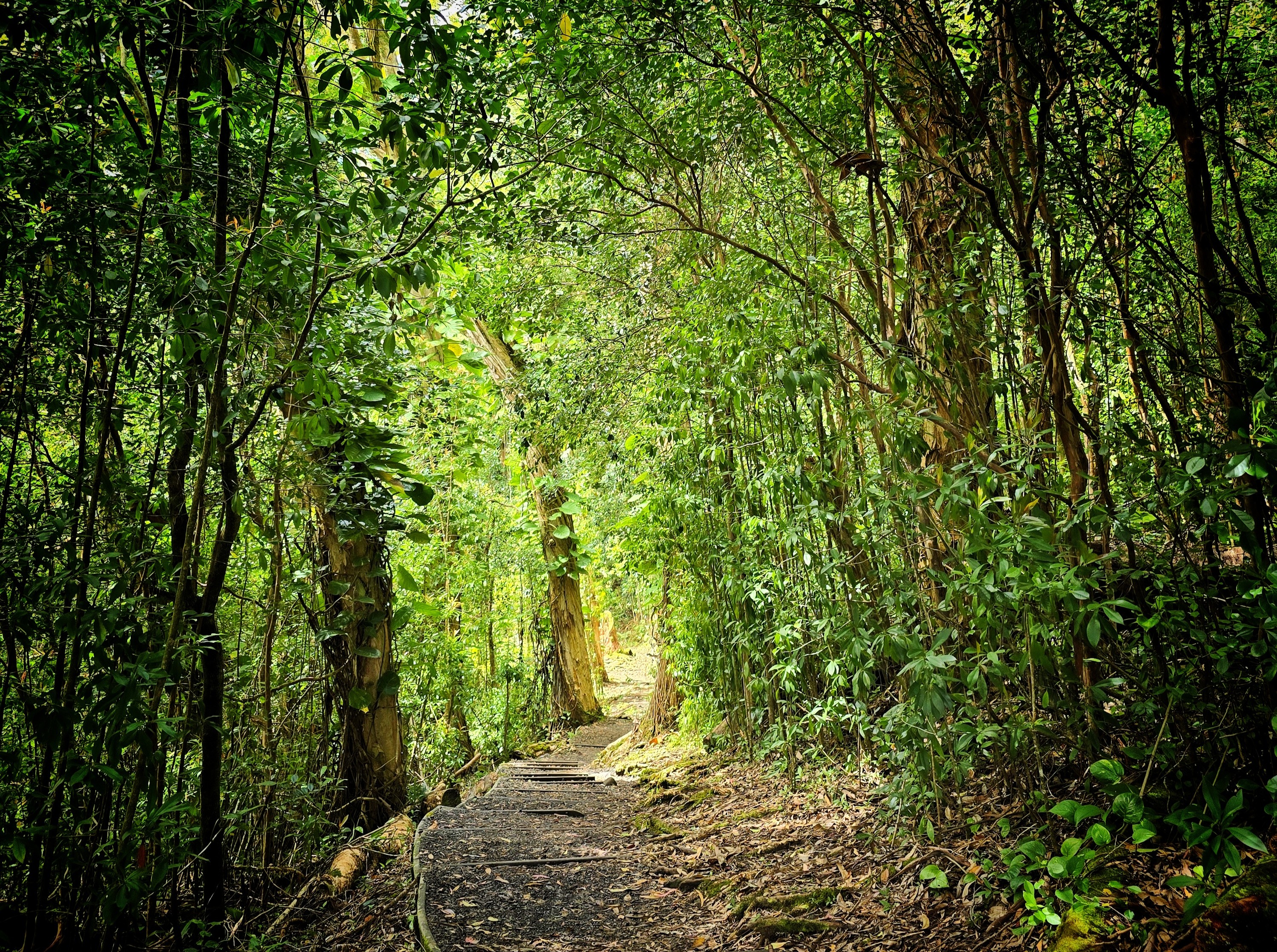 Product Private East Maui Hiking Experience