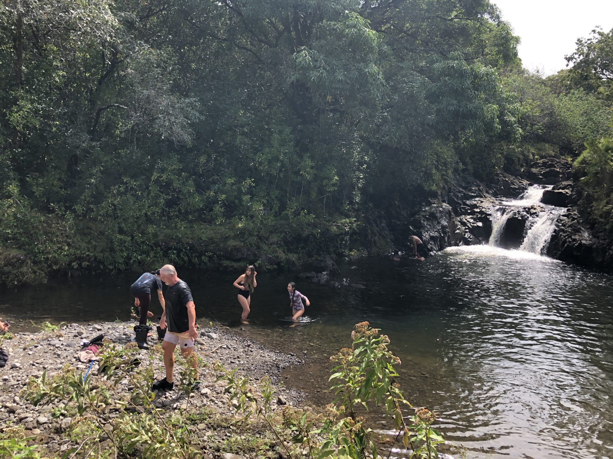 Product Private Rainforest Hike & Swim