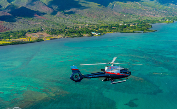 Product Hawaiian Odyssey