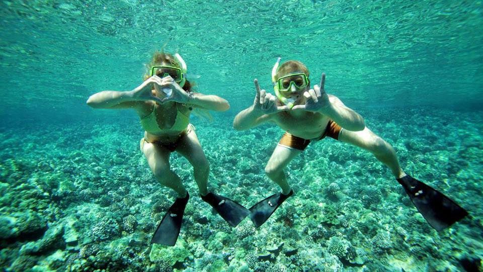 Product Molokini Snorkel/Sail Akialoa