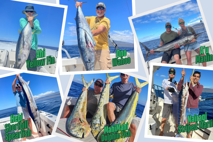 Product Private &amp; Shared West Maui Fishing