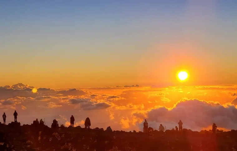 Product Exclusive Haleakala &amp; Upcountry Tour